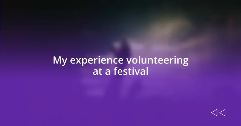 My experience volunteering at a festival