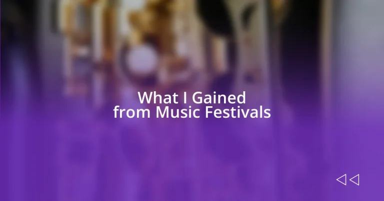 What I Gained from Music Festivals